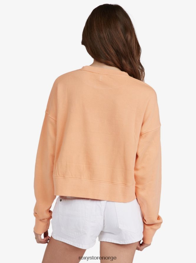 kvinner Roxy drøm om aloha genser cantaloupe 2B2N8R386 | gensere