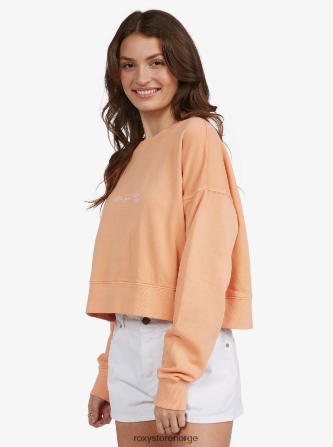kvinner Roxy drøm om aloha genser cantaloupe 2B2N8R386 | gensere
