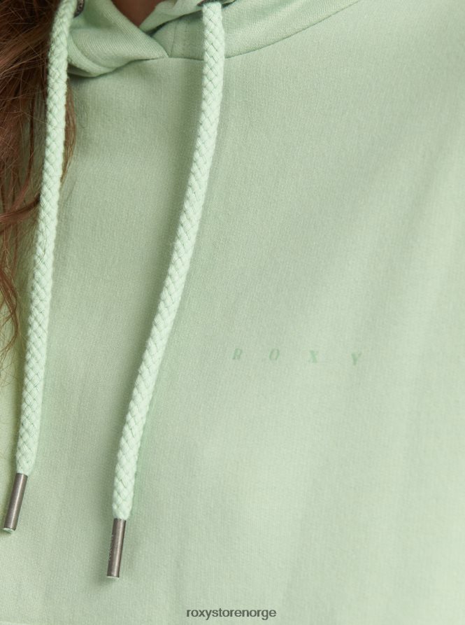 kvinner Roxy hettegenser for ettermiddagstur granton 2B2N8R520 | hettegensere