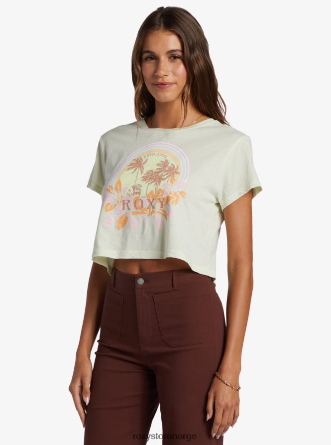 kvinner Roxy haleiwa moment cropped t-skjorte ambrosia 2B2N8R284 | t-skjorter