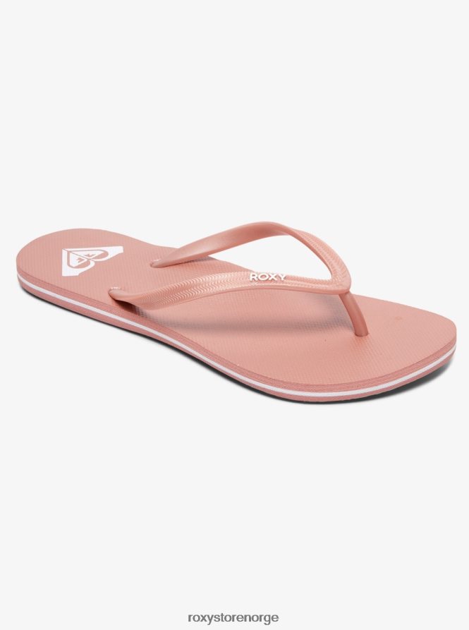 kvinner Roxy azul basic sandal Rose gull 2B2N8R1387 | flip flops